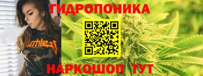МДПВ Новокубанск