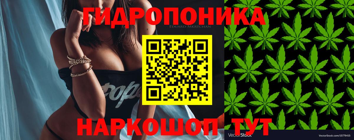 Бошки марихуана Ganja  Бошки Шишки OG Kush  Вход с VPN  Славгород  Шишки марихуана гибрид 